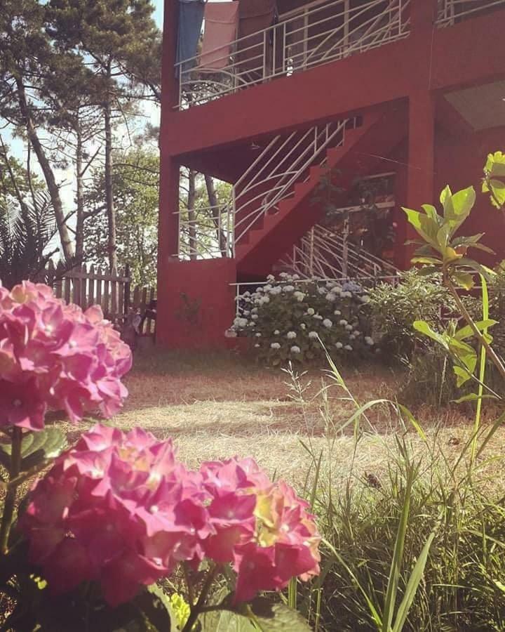 New Wave1 Hotel Grigoleti ภายนอก รูปภาพ